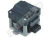 BUGIAD BSP22177 Ignition Coil